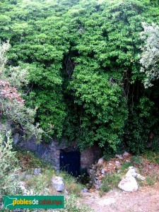 Cueva Can Sadurni